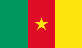 flag_cameroon.png