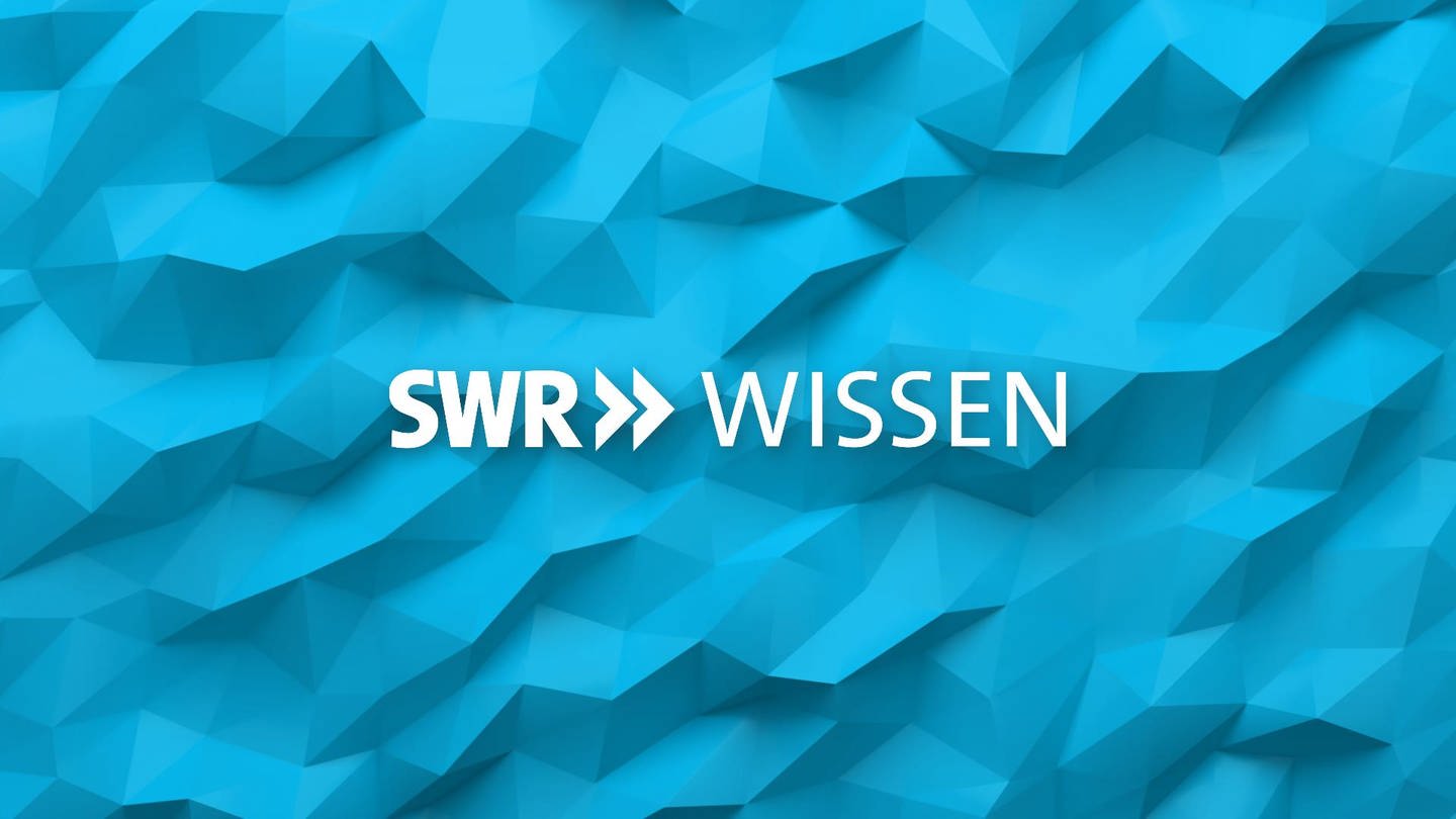 www.swr.de